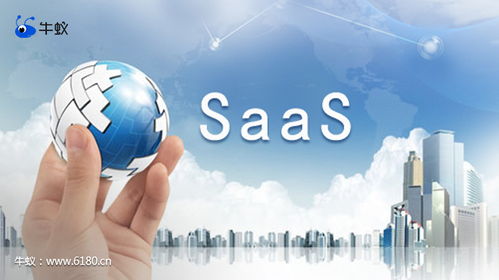 計(jì)算機(jī)信息技術(shù)開發(fā)中牛蟻的巧妙應(yīng)用