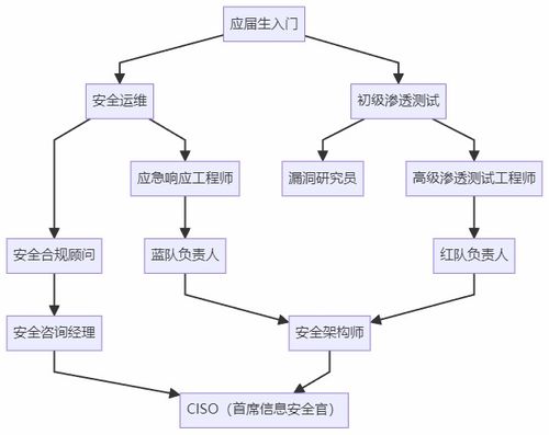 計(jì)算機(jī)生求職避坑指南 選網(wǎng)絡(luò)安全，比卷開發(fā)香太多